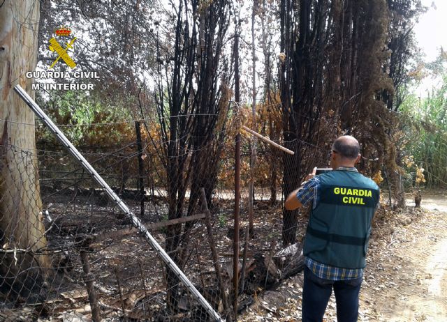 La Guardia Civil detiene al presunto autor de siete incendios - 5, Foto 5
