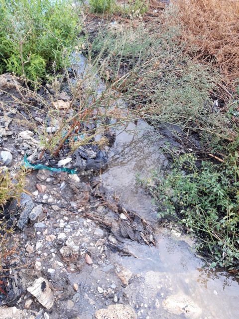 Lorca exige a Consejería de Fomento de la CARM que solvente el problema de los estancamientos de agua que se producen en la RM621 - 1, Foto 1