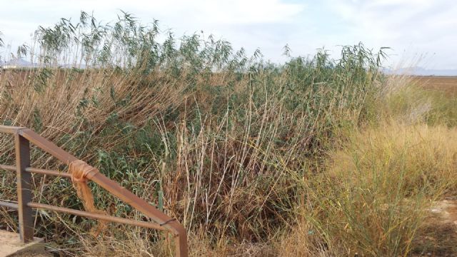 MC volverá a reclamar la limpieza de la Rambla de Miranda - 2, Foto 2