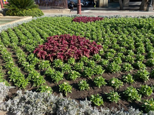 Cientos de corazones reciben a los murcianos para concienciar sobre las medidas de seguridad contra el Covid - 2, Foto 2