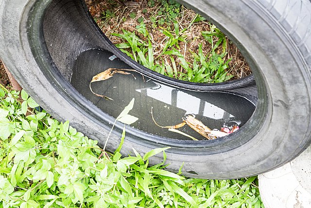 ¿Por qué el reciclado de neumáticos contribuye a evitar la proliferación de mosquitos? - 1, Foto 1
