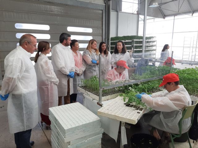 La Región produjo en 2021 más de 221.000 toneladas de tomate, el 13 por ciento del total nacional, y exportó 86.000 toneladas - 1, Foto 1