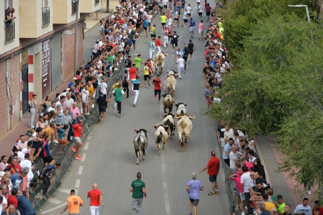 1º Encierro de la Feria y Fiestas de Calasparra - 3, Foto 3
