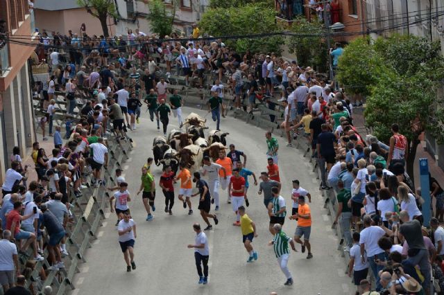 1º Encierro de la Feria y Fiestas de Calasparra - 4, Foto 4