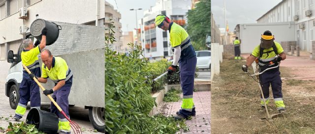 Actúa acondiciona las zonas verdes de los colegios públicos de Torrevieja para el inicio del curso - 1, Foto 1