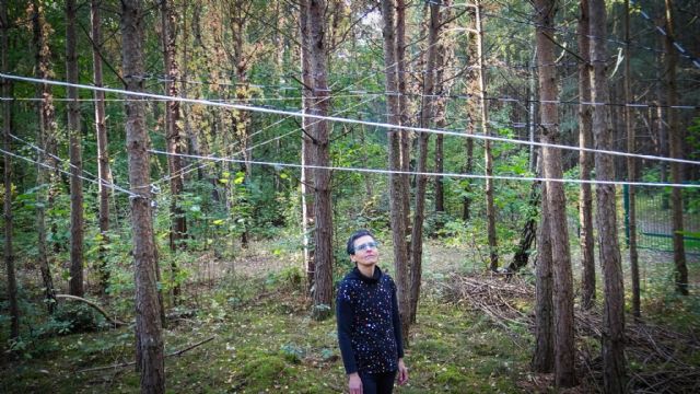 El Museo Cristóbal Gabarrón presenta la exposición ‘Tres líneas y su punto de encuentro’ con las artistas Elena Bajo, Mayte Santamaría y Luisa Aristizabal - 5, Foto 5