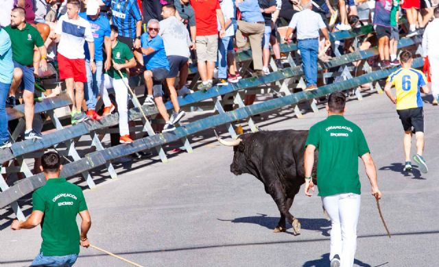 Primer encierro Calasparra 2025 - 1, Foto 1