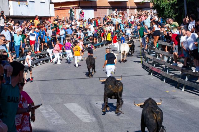 Primer encierro Calasparra 2025 - 3, Foto 3