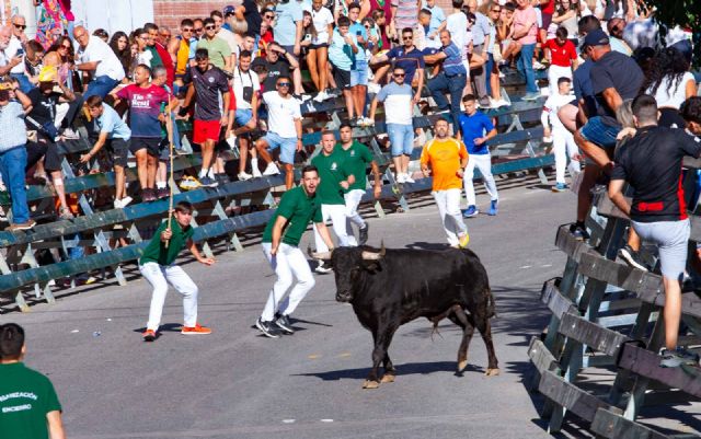 Primer encierro Calasparra 2025 - 5, Foto 5