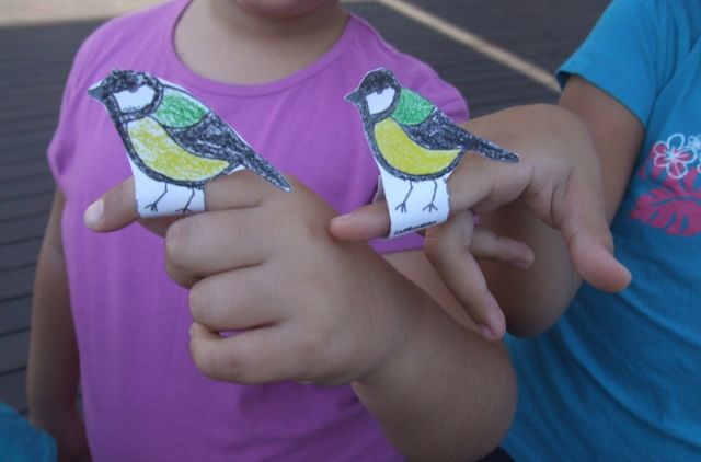 Medio Ambiente organiza para esta semana actividades destinadas a escolares con motivo del Día Mundial de las Aves, Foto 1