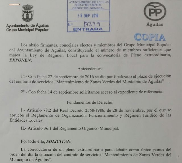 La dejadez de la Alcaldesa obliga al PP a convocar un Pleno - 1, Foto 1