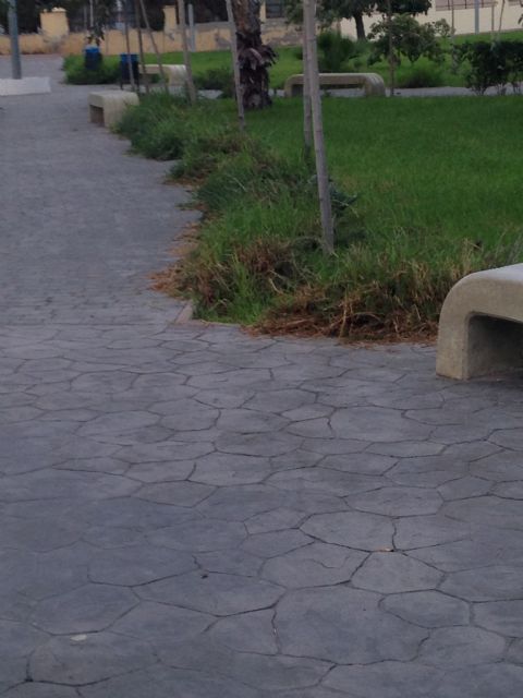 La dejadez de la Alcaldesa obliga al PP a convocar un Pleno - 2, Foto 2