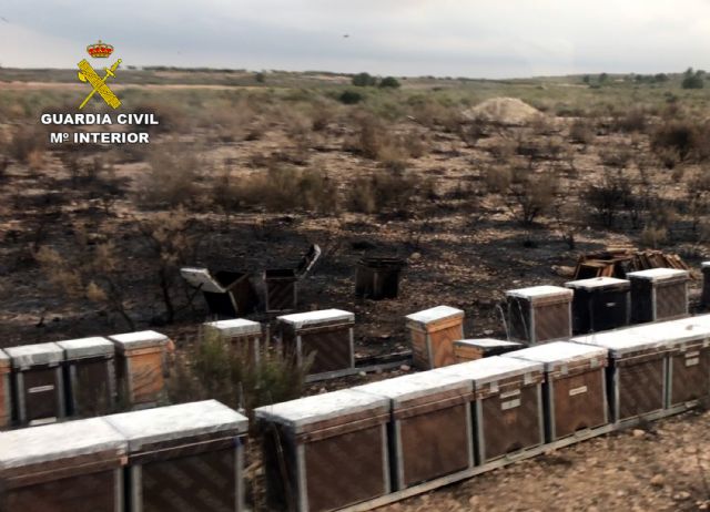 La Guardia Civil esclarece el incendio de 4.000 m2 de monte bajo en Mula - 1, Foto 1