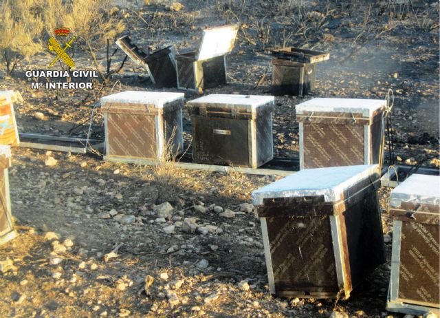 La Guardia Civil esclarece el incendio de 4.000 m2 de monte bajo en Mula - 2, Foto 2