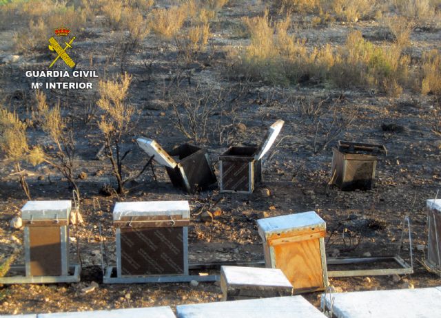 La Guardia Civil esclarece el incendio de 4.000 m2 de monte bajo en Mula - 3, Foto 3