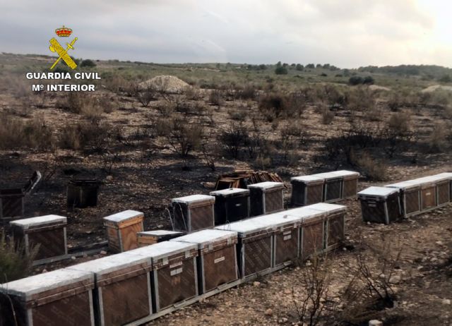 La Guardia Civil esclarece el incendio de 4.000 m2 de monte bajo en Mula - 4, Foto 4