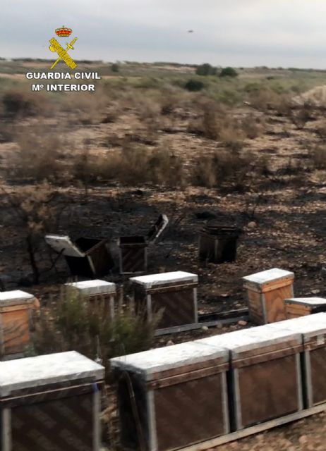 La Guardia Civil esclarece el incendio de 4.000 m2 de monte bajo en Mula - 5, Foto 5