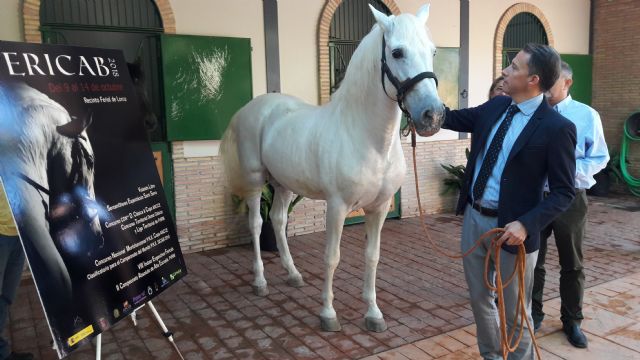 FERICAB suma a sus concursos habituales la II Copa Intercomunidades de Alta Escuela y una prueba de doma clásica - 2, Foto 2