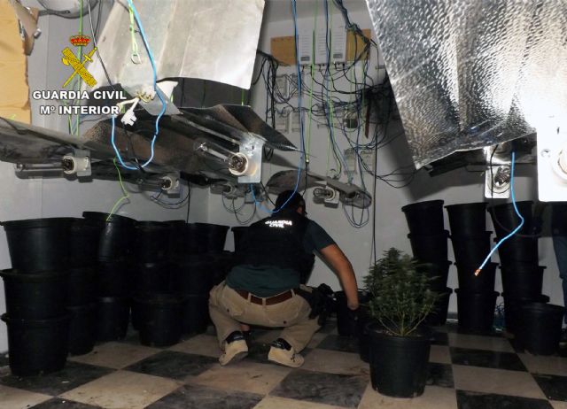 La Guardia Civil desmantela una plantación de marihuana en un domicilio de Cieza - 4, Foto 4
