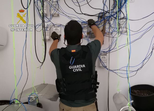 La Guardia Civil desmantela una plantación de marihuana en un domicilio de Cieza - 5, Foto 5