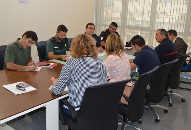 La junta local de seguridad informa de los resultados positivos de las actuaciones de refuerzo en el barrio del Carmen - 1, Foto 1