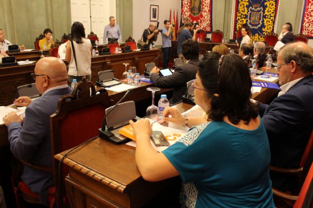 El Pleno respalda los planes de choque de Cs para combatir los vertidos y escombreras ilegales y los solares insalubres - 2, Foto 2