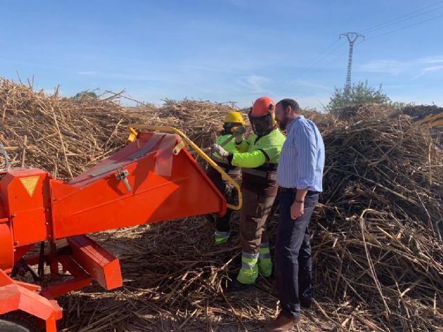 Parques y Jardines comienza a triturar las cañas extraídas del río tras la DANA - 2, Foto 2