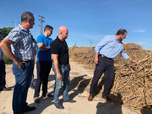 Parques y Jardines comienza a triturar las cañas extraídas del río tras la DANA - 3, Foto 3