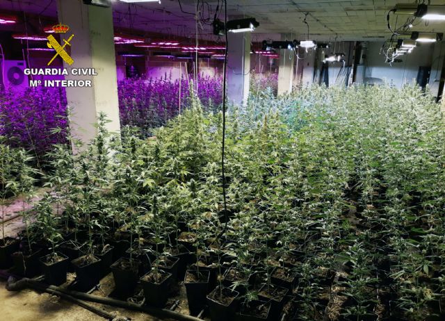 La Guardia Civil desmantela una plantación de marihuana en un inmueble de El Chaparral-Cehegín - 2, Foto 2