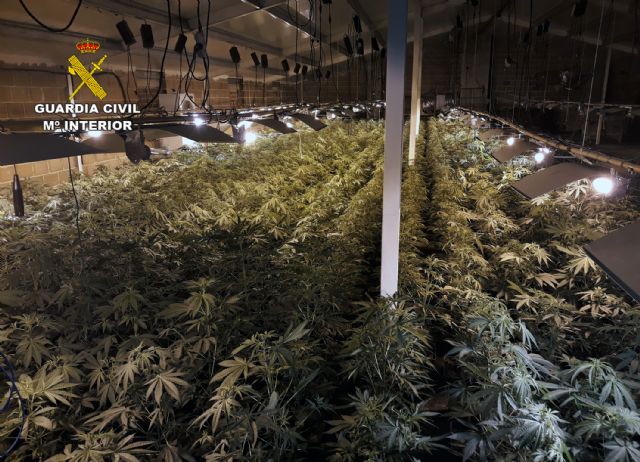 La Guardia Civil desmantela una plantación de marihuana en un inmueble de El Chaparral-Cehegín - 3, Foto 3