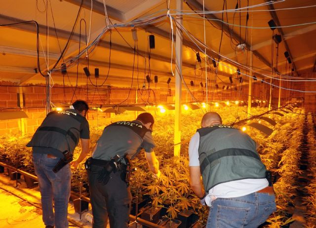La Guardia Civil desmantela una plantación de marihuana en un inmueble de El Chaparral-Cehegín - 4, Foto 4