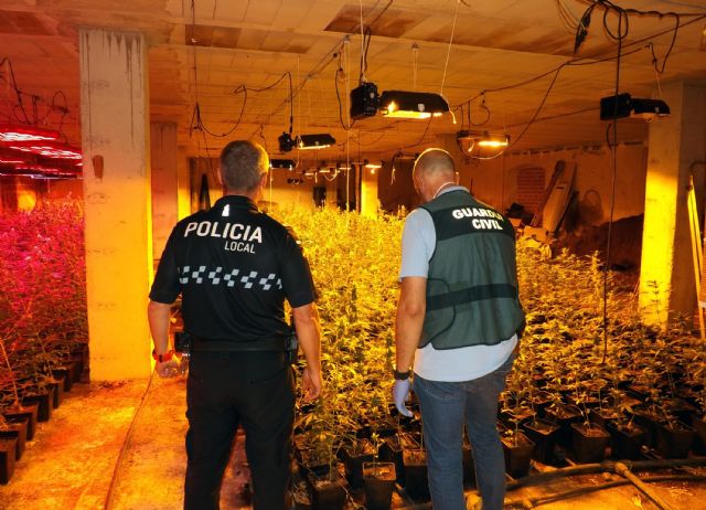 La Guardia Civil desmantela una plantación de marihuana en un inmueble de El Chaparral-Cehegín - 5, Foto 5