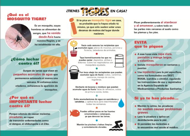 El Ayuntamiento actúa contra el mosquito tigre y pide colaboración ciudadana para acabar con la plaga - 2, Foto 2