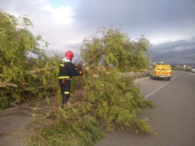 Lorca fue el segundo municipio más afectado de la Región por el temporal de viento de este viernes, solo superado por Murcia en número de incidencias - 2, Foto 2