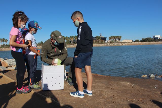 Medio Natural celebra el Día Mundial de las Aves en el Parque Regional Salinas y Arenales de San Pedro del Pinatar - 2, Foto 2