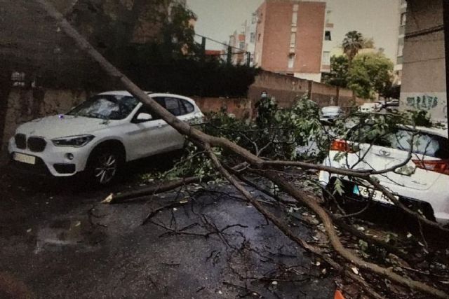 Caídas de ramas y cables por el viento sin especiales incidencias - 1, Foto 1
