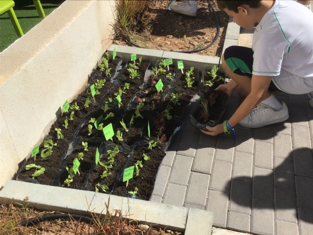 1.600 alumnos de Alicante y Murcia reivindican una dieta saludable para lograr un planeta más sostenible - 2, Foto 2