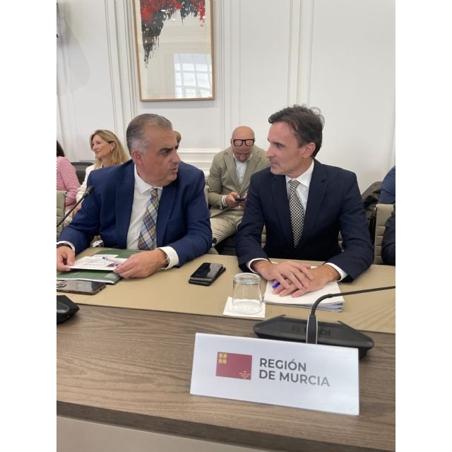 La Comunidad solicita al Ministerio una línea de ayudas para la construcción de viviendas para mejorar el acceso al hogar de los ciudadanos de la Región - 1, Foto 1