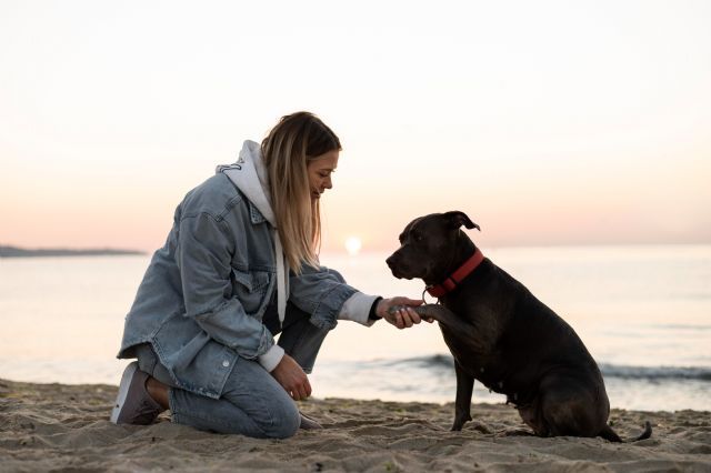 En el Día Mundial de los animales, que se celebra el 4 de octubre, la Fundación Affinity destaca que - 1, Foto 1