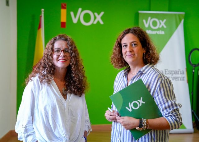 DANIEL SABIOTE_VOX, Foto 1