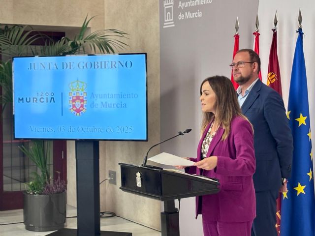 El Ayuntamiento de Murcia renovará el césped artificial del Campo de Fútbol José Barnés con una inversión de 410.000 euros - 1, Foto 1