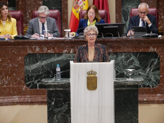 Pelegrín: El PSOE que desprotege a mujeres víctimas de violencia de género no tiene ninguna autoridad moral para hablar de feminismo - 1, Foto 1