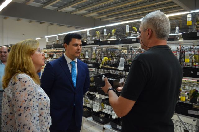 Más de 4.000 ejemplares de los mejores canarios del país compiten en VI Concurso Ornitológico Murciano que se celebra en San Javier - 2, Foto 2