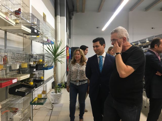 Más de 4.000 ejemplares de los mejores canarios del país compiten en VI Concurso Ornitológico Murciano que se celebra en San Javier - 4, Foto 4