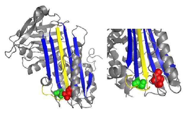 El poder de la antitrombina - 1, Foto 1