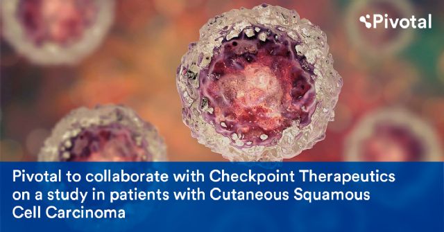 Pivotal colabora con checkpoint therapeutics en un estudio en pacientes con carcinoma cutáneo de células escamosas - 1, Foto 1