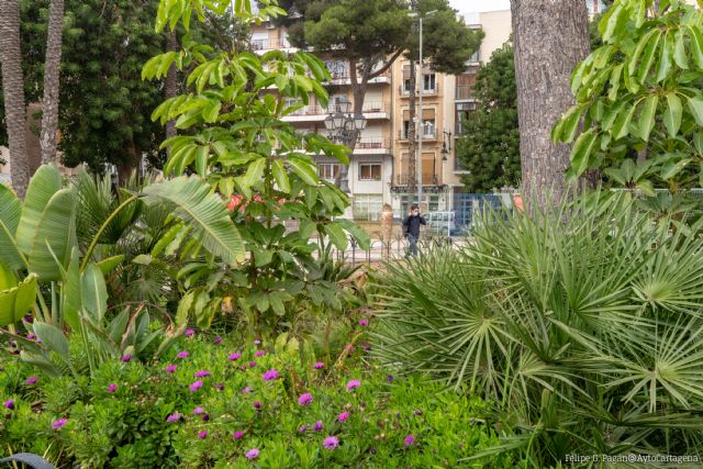 Los ciudadanos ya pueden colaborar con el Ayuntamiento en la elaboración del inventario digital de jardines del municipio - 1, Foto 1