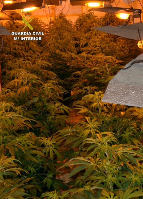 Una incidencia destapa una plantación indoor de marihuana en Las Torres de Cotillas - 2, Foto 2