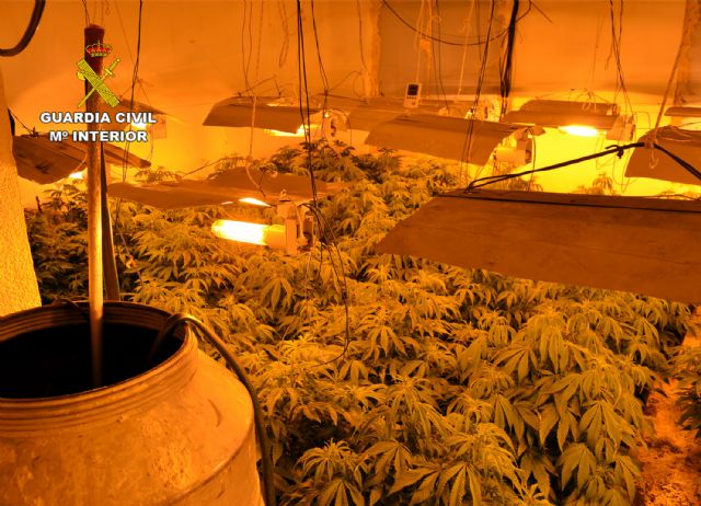Una incidencia destapa una plantación indoor de marihuana en Las Torres de Cotillas - 5, Foto 5