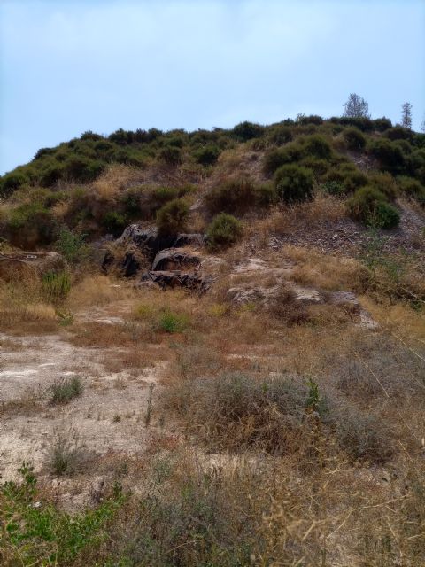 Indignación en la Coordinadora del Molinete por “el pasotismo” de la Comunidad ante el deterioro de los restos de Morería - 1, Foto 1